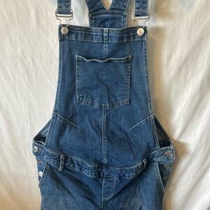 GAP Maternity Women's Blue Denim Overalls